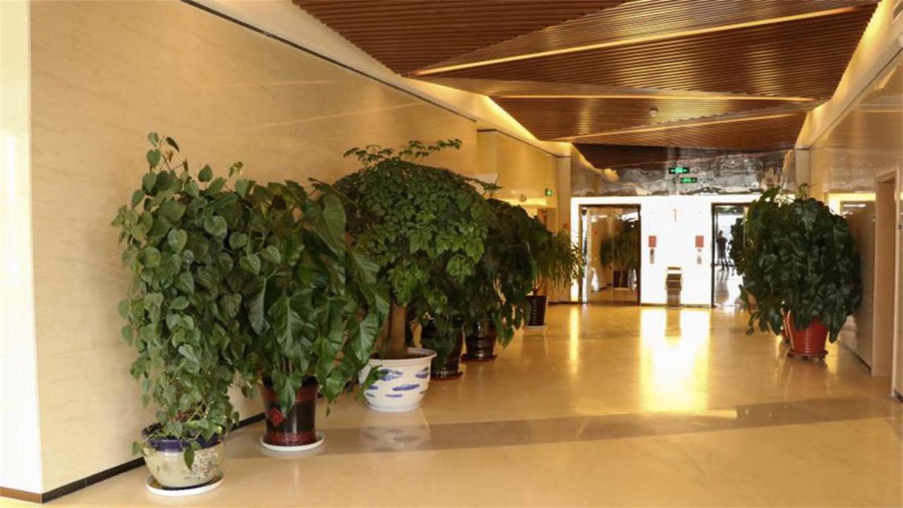 Holiday Inn Express Zhangjiakou Park View, An Ihg Hotel מראה חיצוני תמונה